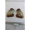 Image 1 : (2) Chalkware Owls