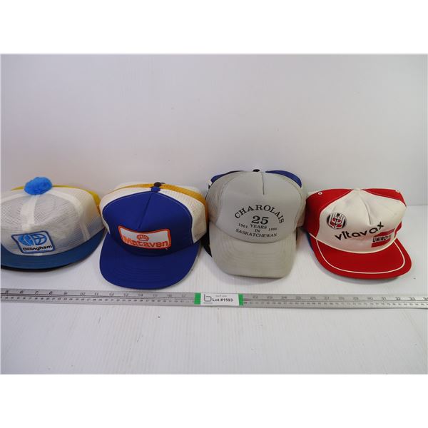 (10) Hats from Various Businesses