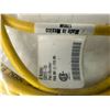 Image 2 : Lot of (3) Turck #PKG-3M-1-PSG 3M Actuator and Sensor Cordsets