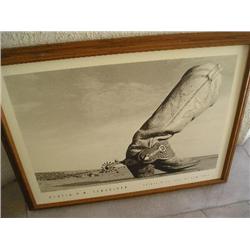 Martin H.M. Schreiber