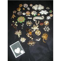 Brooches-lots of them!!!!
