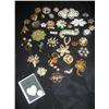 Image 1 : Brooches-lots of them!!!!