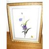 Image 1 : Hand stitched, on silk framed Orchid