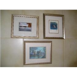 3 framed pictures.