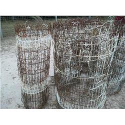 100 year old fencing. Wonderful!!!