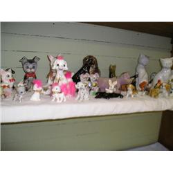 animals, animals, animals.