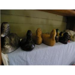 Ducks, Ducks and More Ducks