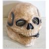 Image 1 : SKELETON BIOCHEMICAL MASK WITH NECK COVERAGE