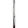 Image 1 : WOOSTER SHERLOCK 8-16' TELESCOPIC POLE