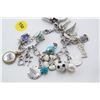 Image 2 : Charm Bracelet