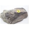 Image 1 : Petrified wood