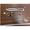 Image 1 : Lot of assorted necklaces