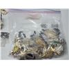Image 5 : 2 Bags of Lion's Club collector's pins