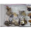 Image 6 : 2 Bags of Lion's Club collector's pins