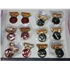 Image 3 : 2 Bags of Lion's Club collector's pins