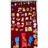 Image 4 : Large red velvet sheet, filled with Lions Club collector's pins