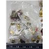 Image 5 : Container of Lions Club collector's pins - Canada/USA