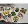 Image 2 : Container of Lions Club collector's pins - Florida