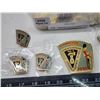 Image 2 : Container of Lions Club collector's pins - MD5 England