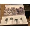 Image 1 : Set Of Decorative Photography Cactus 37 x 13 And Snowy Trees 36 x 24
