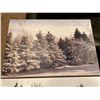 Image 3 : Set Of Decorative Photography Cactus 37 x 13 And Snowy Trees 36 x 24