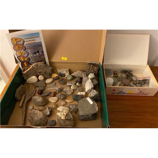 Phywe Sample Rocks Box Large Box Of Various Rocks, Stones, Pebbles & multiple Fossils of All ...