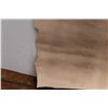 Image 4 : Tanned Leather - About 30" x 42"