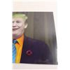 Image 3 : Donald Trump Joker Poster - 18" x 12"