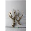 Image 1 : (2) Deer Sheds