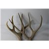 Image 3 : (2) Deer Sheds
