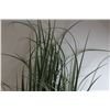 Image 5 : Artificial Grass in Pot