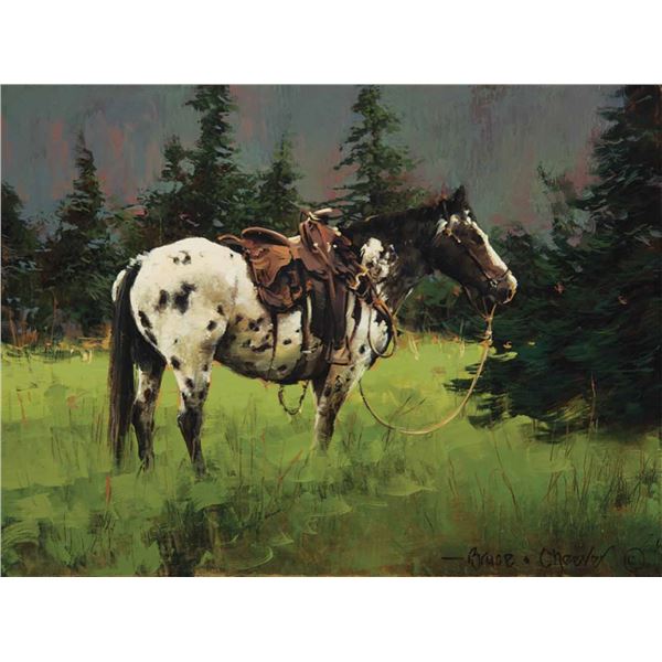 Bruce Cheever-Appaloosa