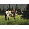 Image 1 : Bruce Cheever-Appaloosa