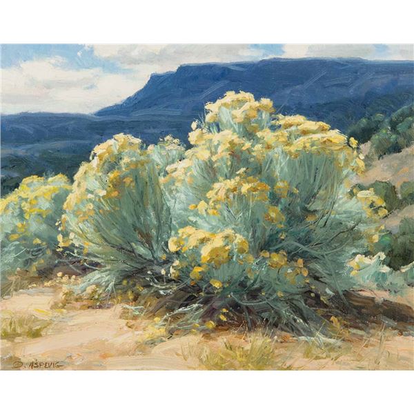 Clyde Aspevig-Chamisa