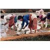 Image 1 : Ray Swanson-Rice Planting