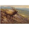 Image 1 : James Morgan-Down from the Burn