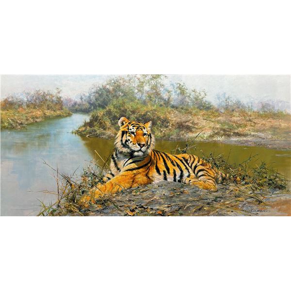 David Shepherd-Tiger in the Sun