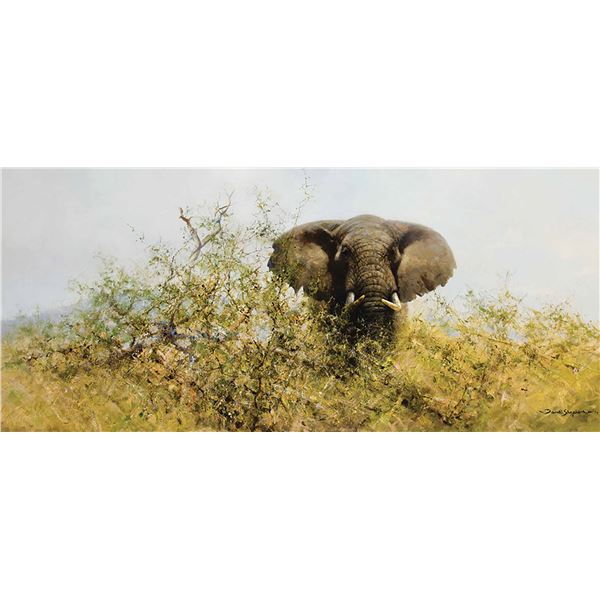 David Shepherd-A Happy Elephant