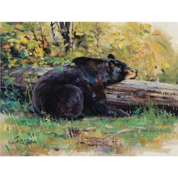 Ken Carlson-Headrest