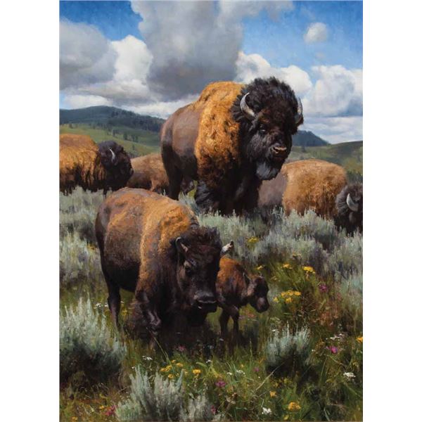Kyle Sims-Yellowstone Migration