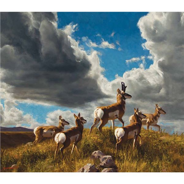 Dustin Van Wechel-Big Sky Parade