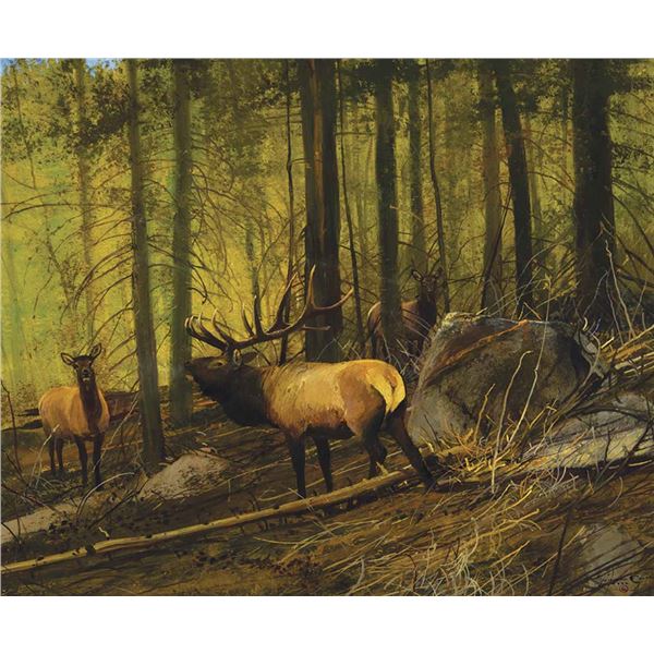 Michael Coleman-Deep Woods Elk
