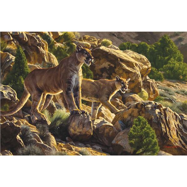 Dustin Van Wechel-Hunting Season