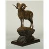 Image 2 : Tim Shinabarger-Chadwick Ram