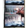 Image 2 : New 100% Cotton Elizabeth Studios Panel Fabric