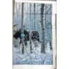 Image 2 : New 100% Cotton Elizabeth Studios Panel Fabric