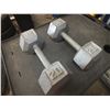 Image 1 : 2 20lbs Dumbbells
