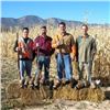 Image 1 : Overnight Pheasant Hunt - Four Hunters (mixed bag 20 pheasants)