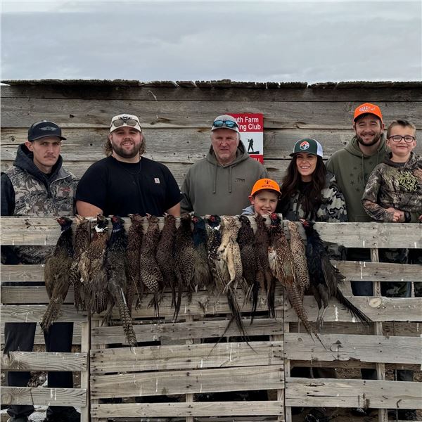 Guided Pheasant Hunt - 20 birds (10 roosters, 10 hens)