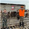 Image 2 : Guided Pheasant Hunt - 20 birds (10 roosters, 10 hens)